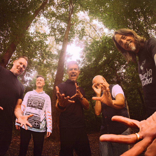 311 & The Dirty Heads
