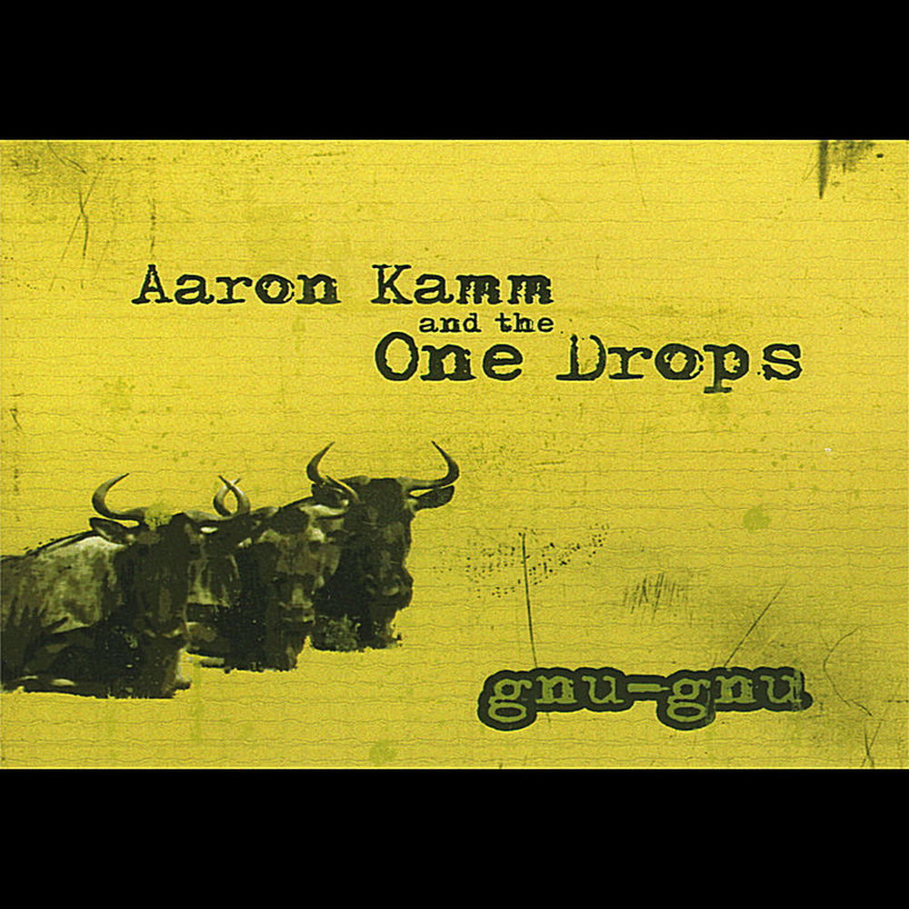 Aaron Kamm and the One Drops