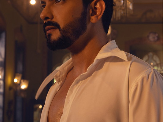 Aditya Narayan