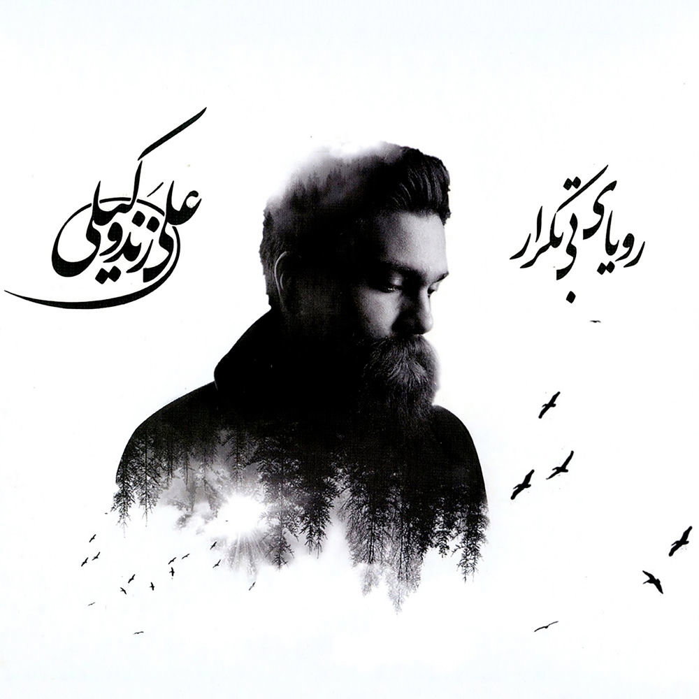 Ali Zand Vakili