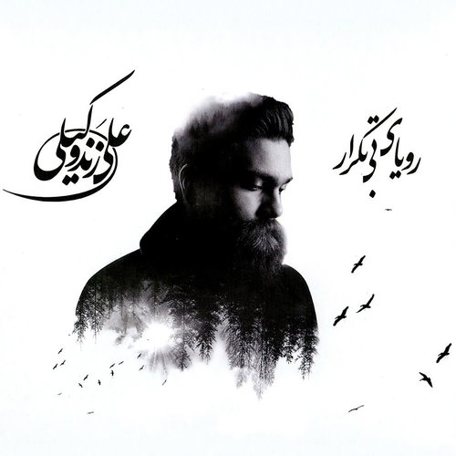 Ali Zand Vakili