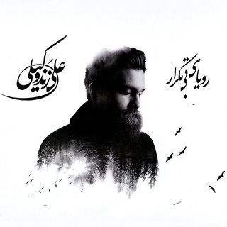 Ali Zand Vakili