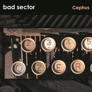 Bad Sector