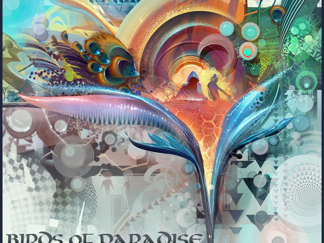 Birds of Paradise