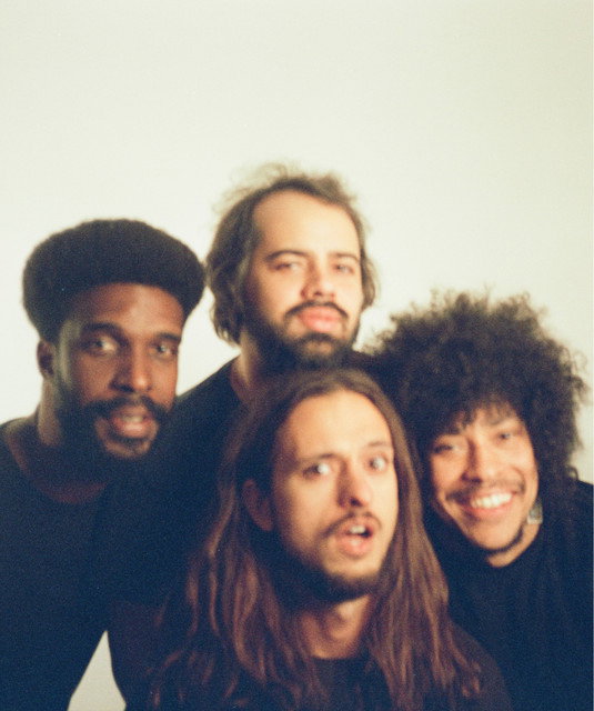 Boogarins