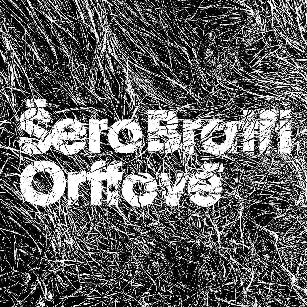 Bratři Orffové