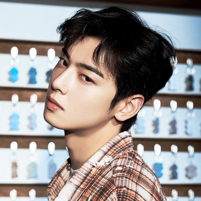 Cha Eun-Woo