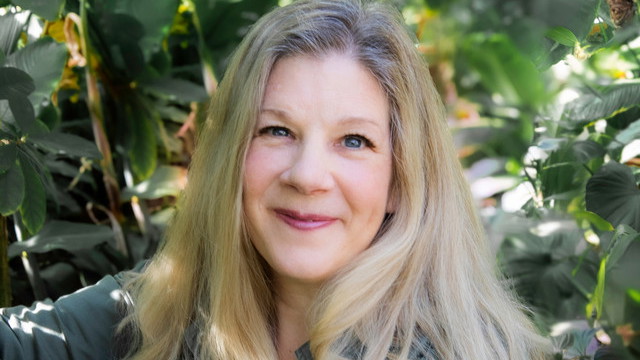 Dar Williams