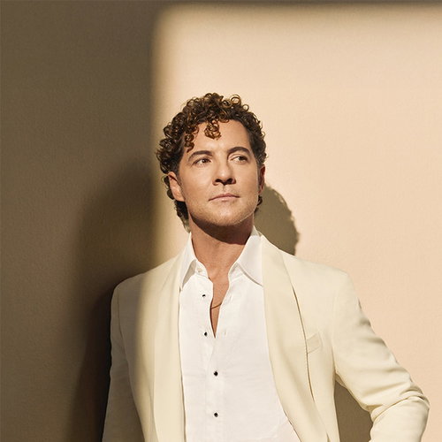 David Bisbal