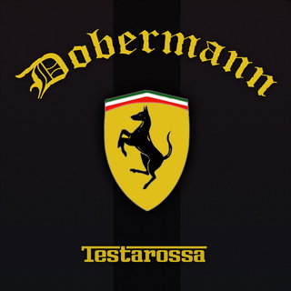 Dobermann