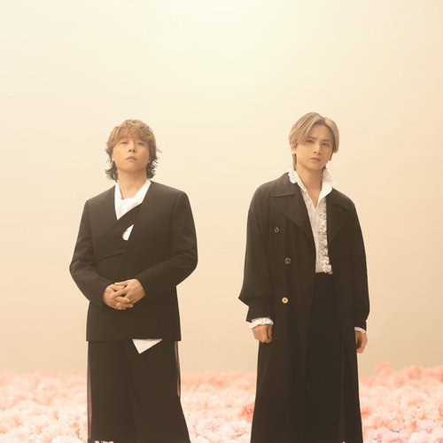DOMOTO