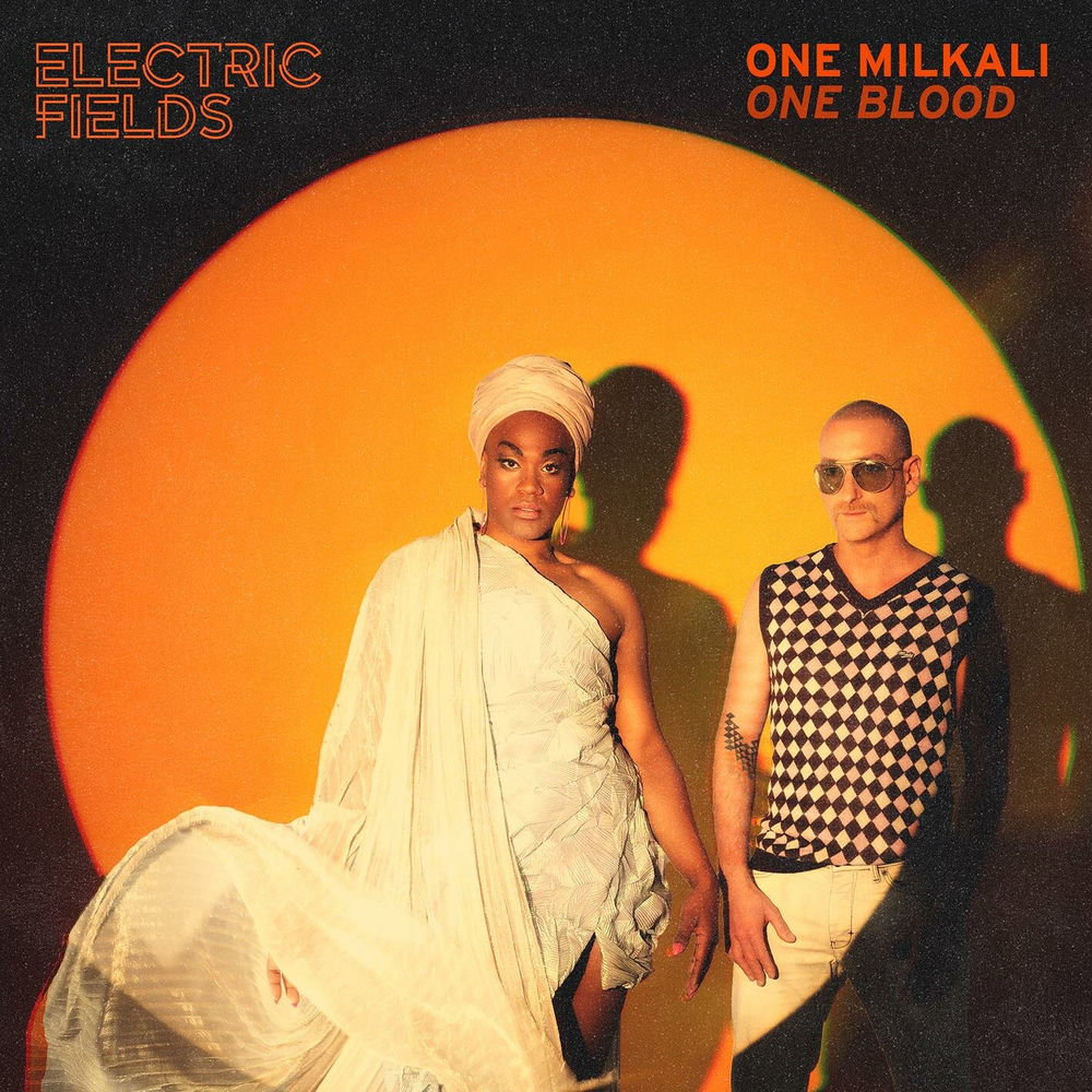 Electric Fields