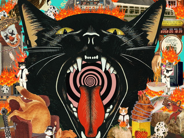 Fantastic Cat