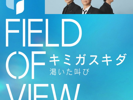 FIELD OF VIEW
