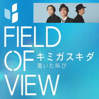 FIELD OF VIEW