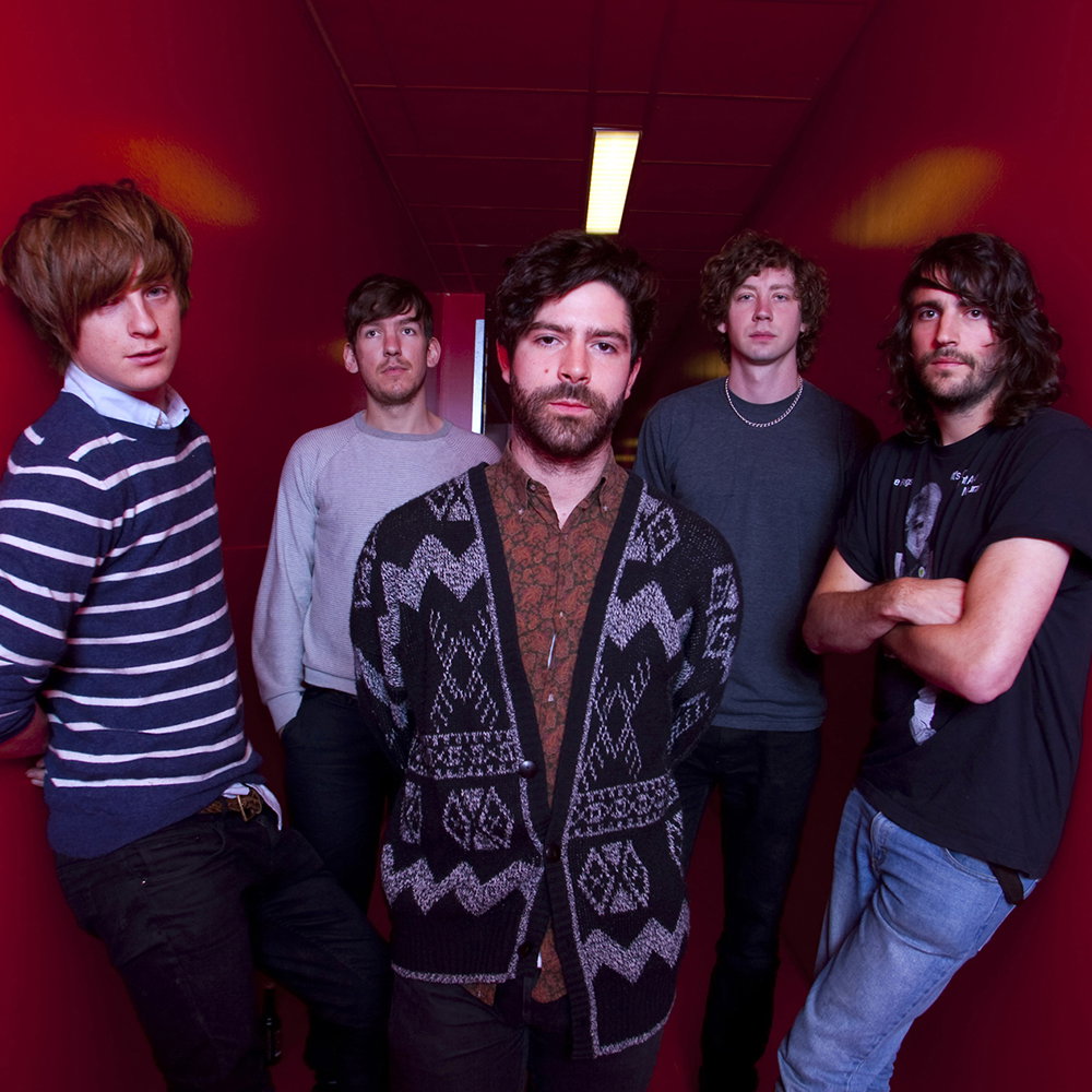 Foals