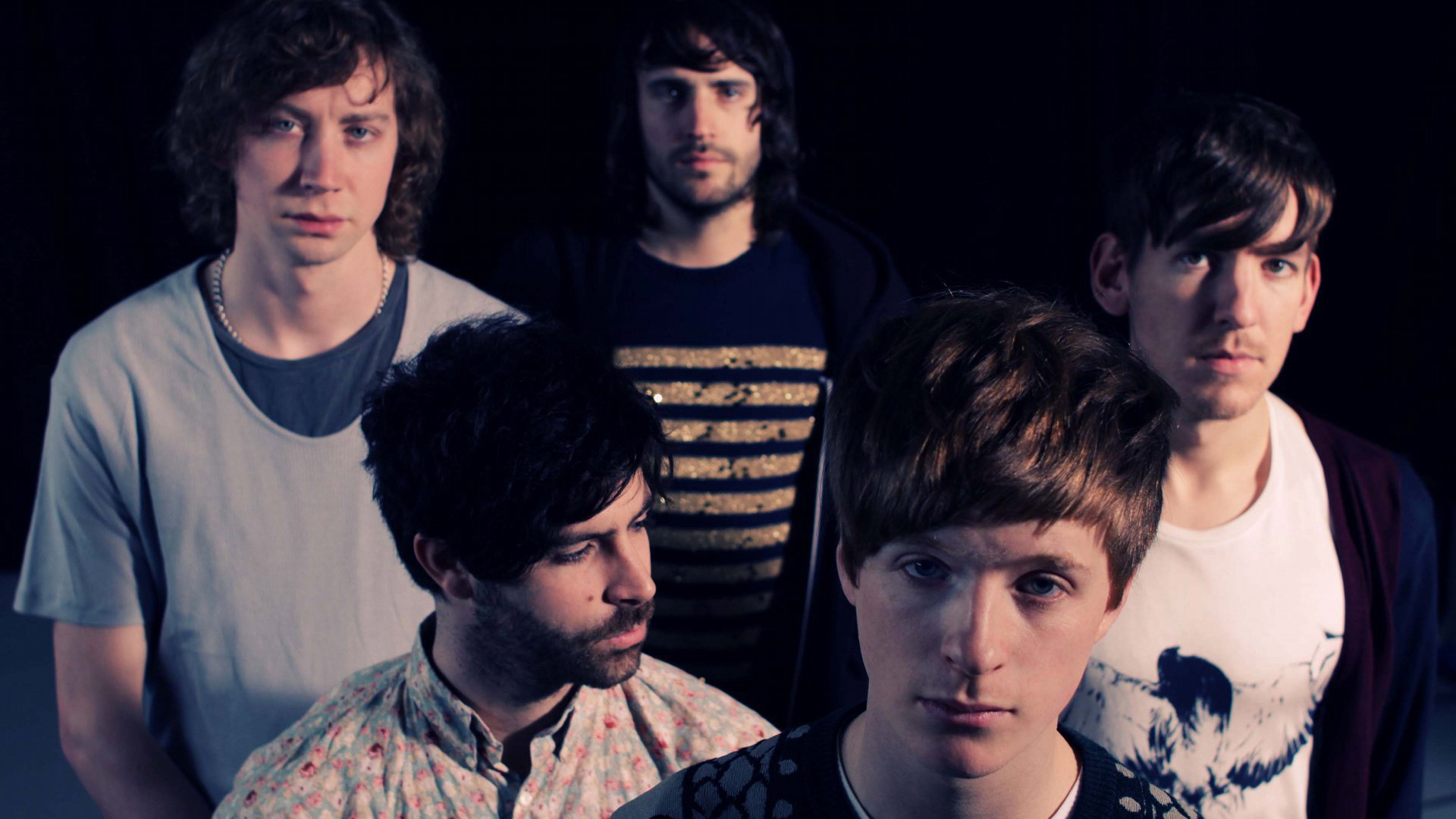 Foals