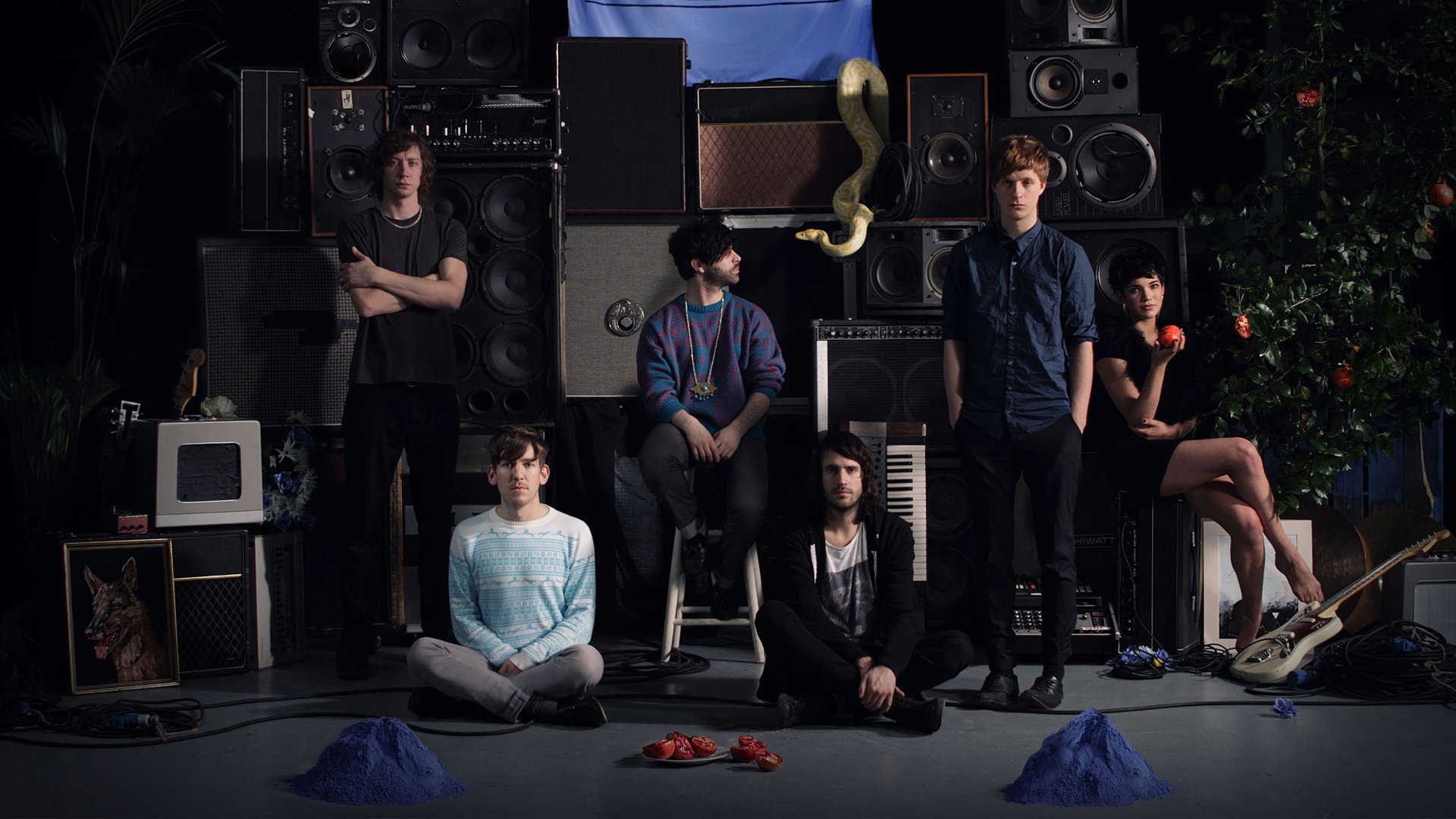 Foals