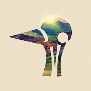 Futurebirds