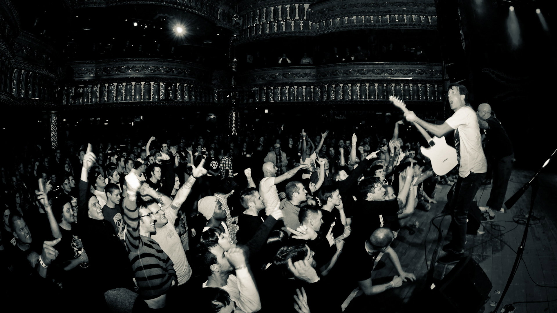 Gorilla Biscuits