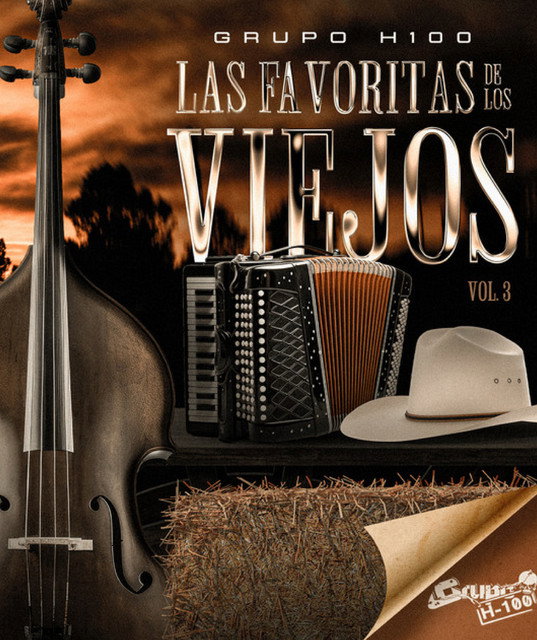 Grupo H-100