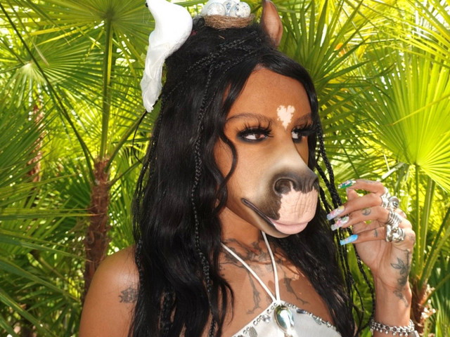 horsegiirL