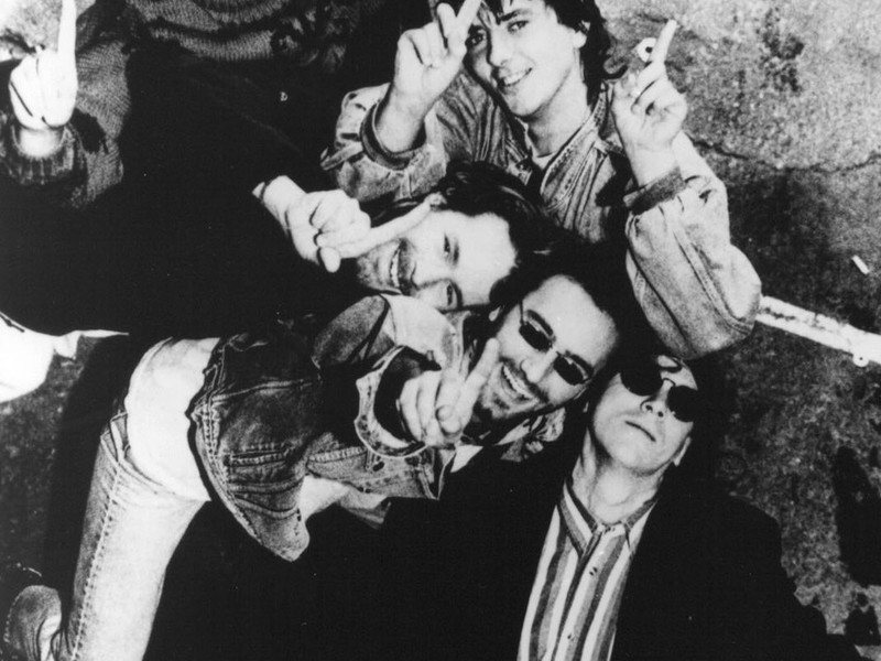 Hothouse Flowers