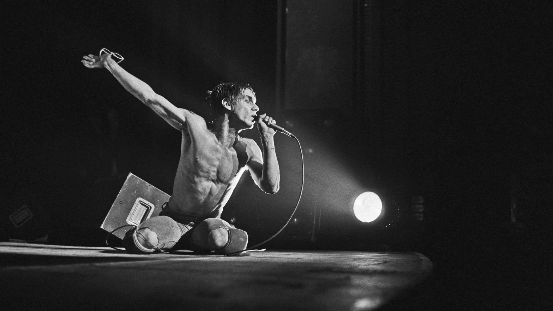 Iggy Pop