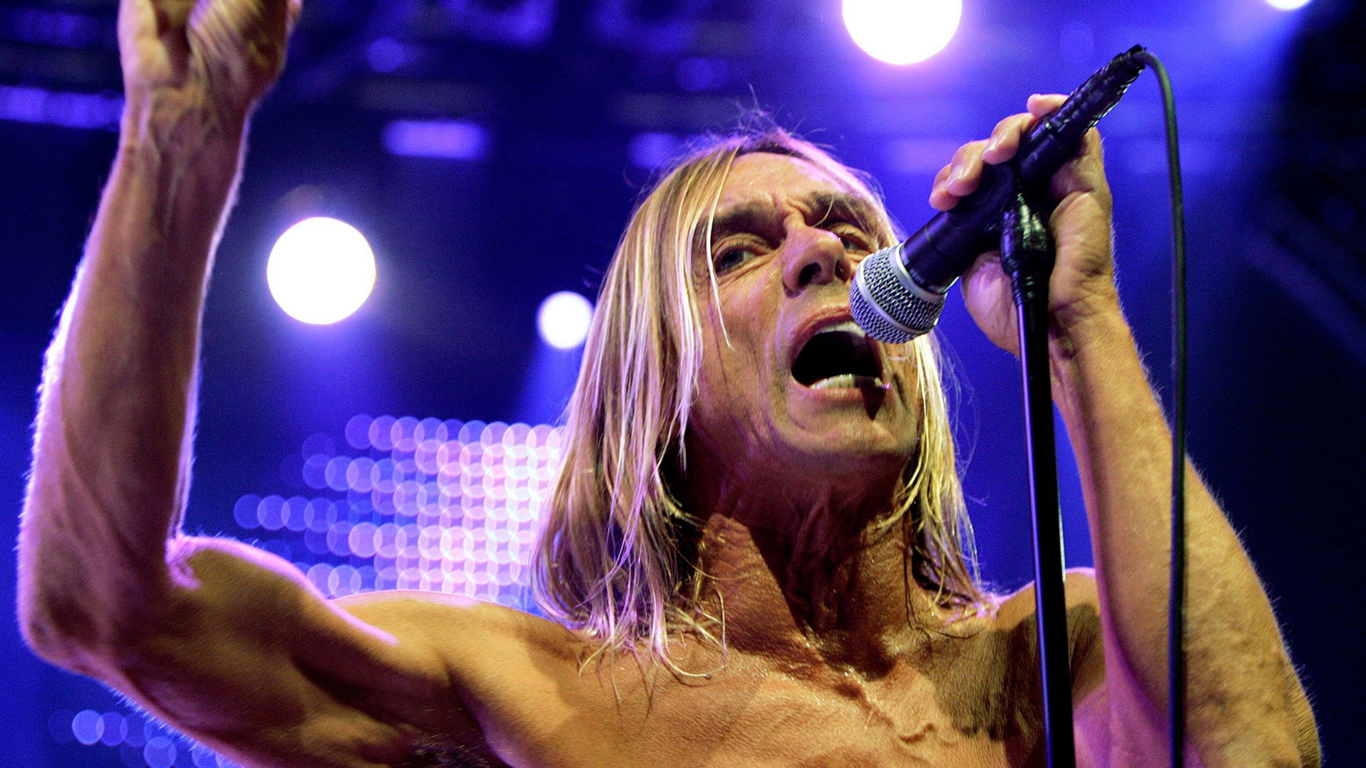 Iggy Pop