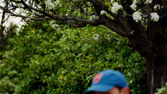 Jeff Rosenstock