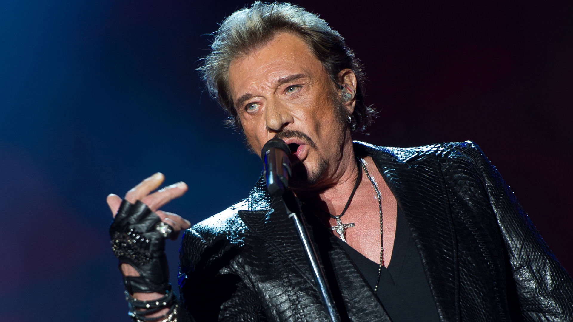 Johnny Hallyday