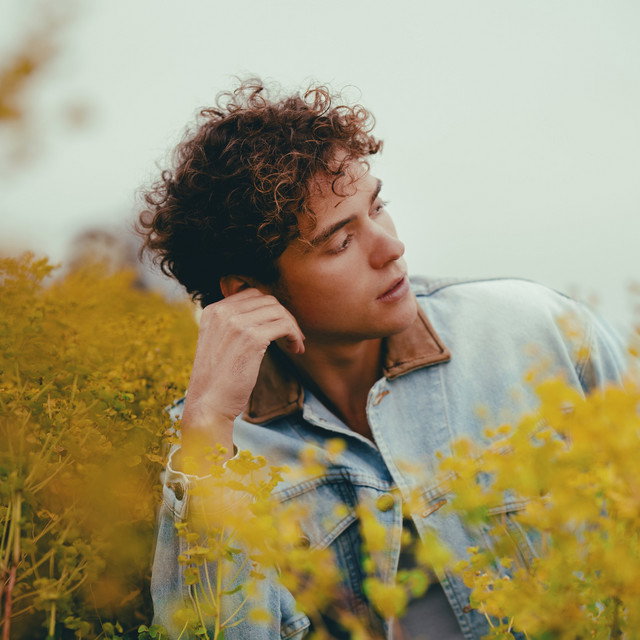 Joshua Bassett