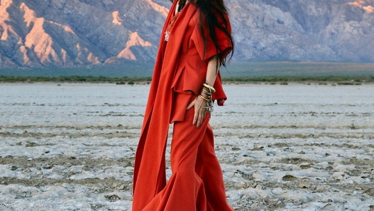 Julieta Venegas