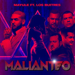 Los Buitres De Culiacan Sinaloa