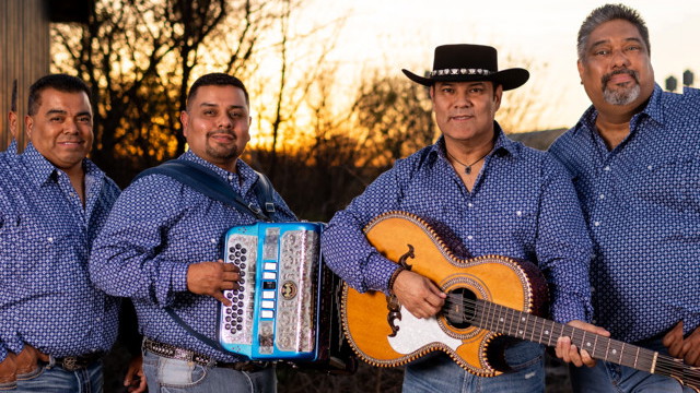 Los Palominos