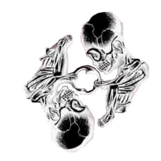 METAMORFOSIS