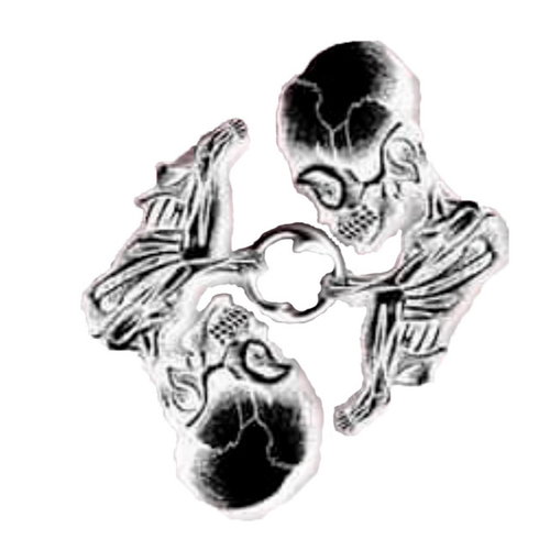 METAMORFOSIS