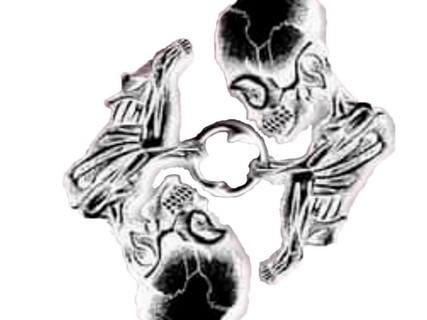 METAMORFOSIS