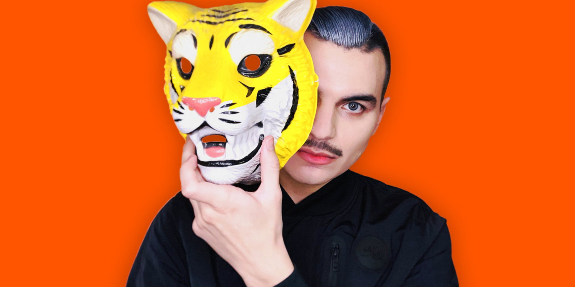 Mr.Kitty