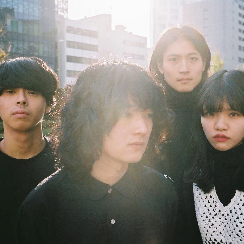 No Buses