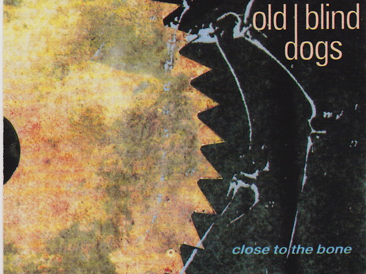 Old Blind Dogs