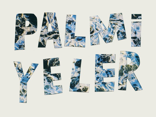 Palmiyeler