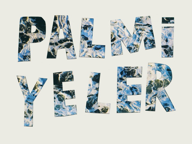 Palmiyeler