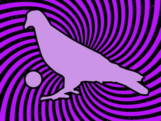 Pigeons Playing Ping Pong