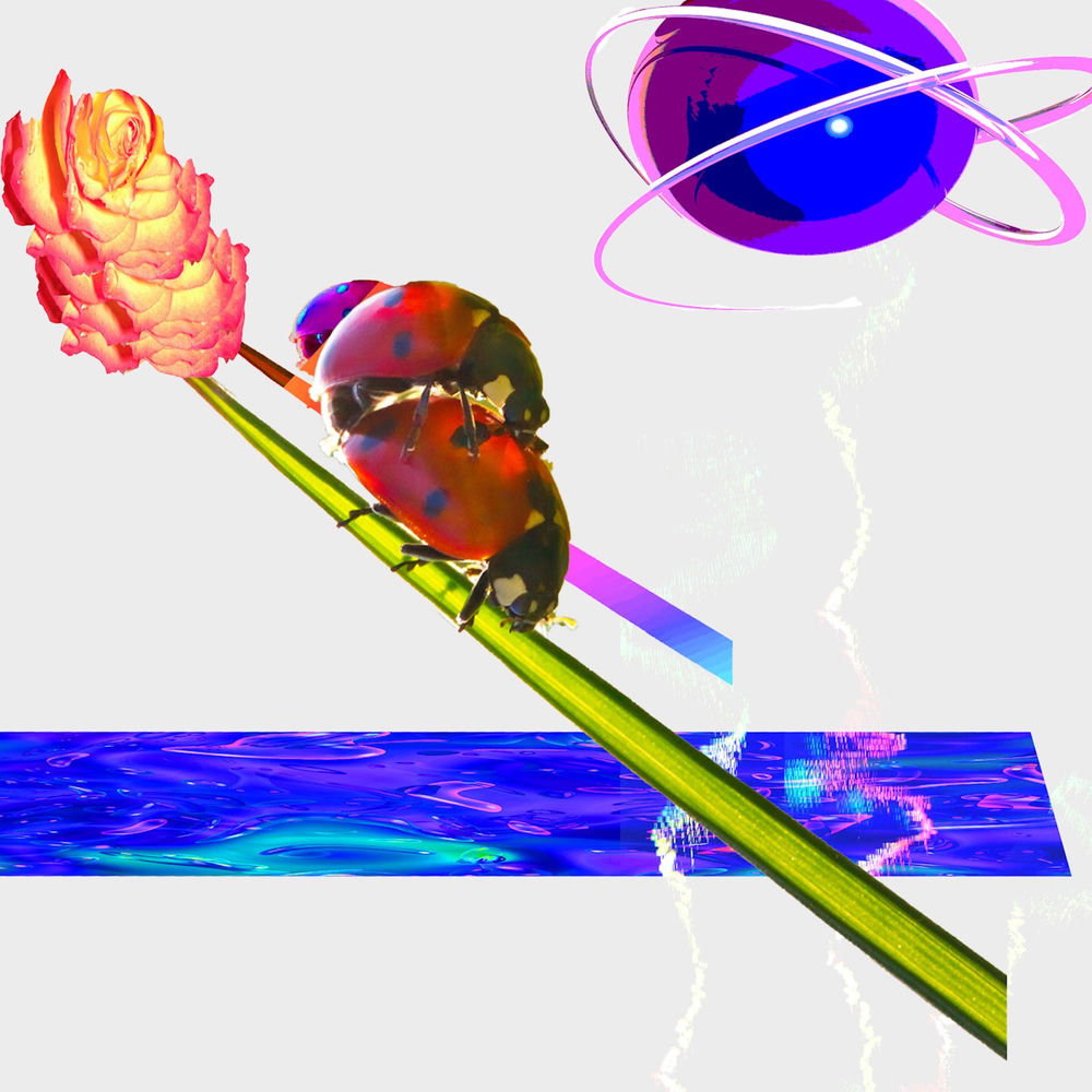 push baby