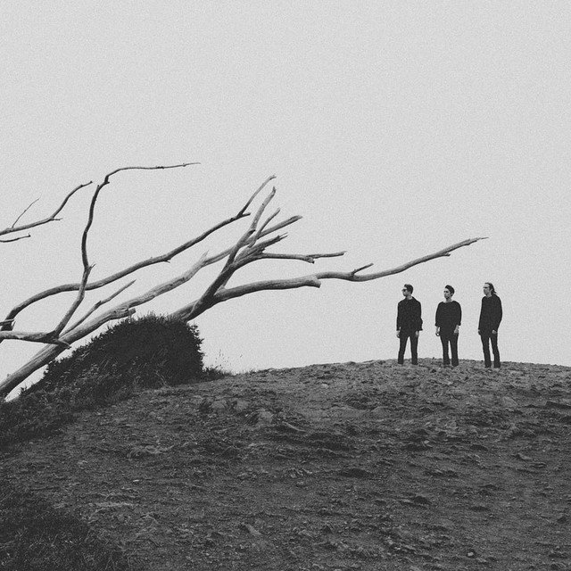 Ritual Howls