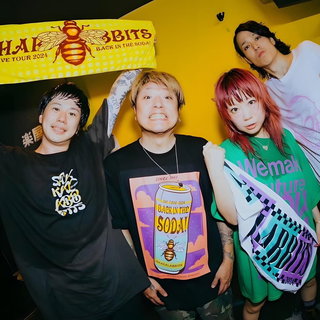 SHAKALABBITS