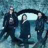 Sirenia