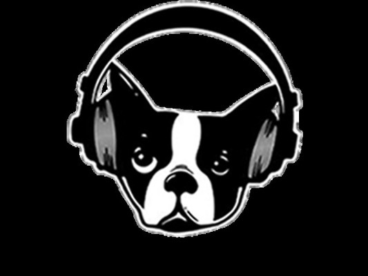 Snarky Puppy