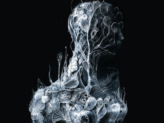 Soen